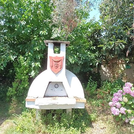 Olive Garden Villas Chrisi Ammoudia Rum bild