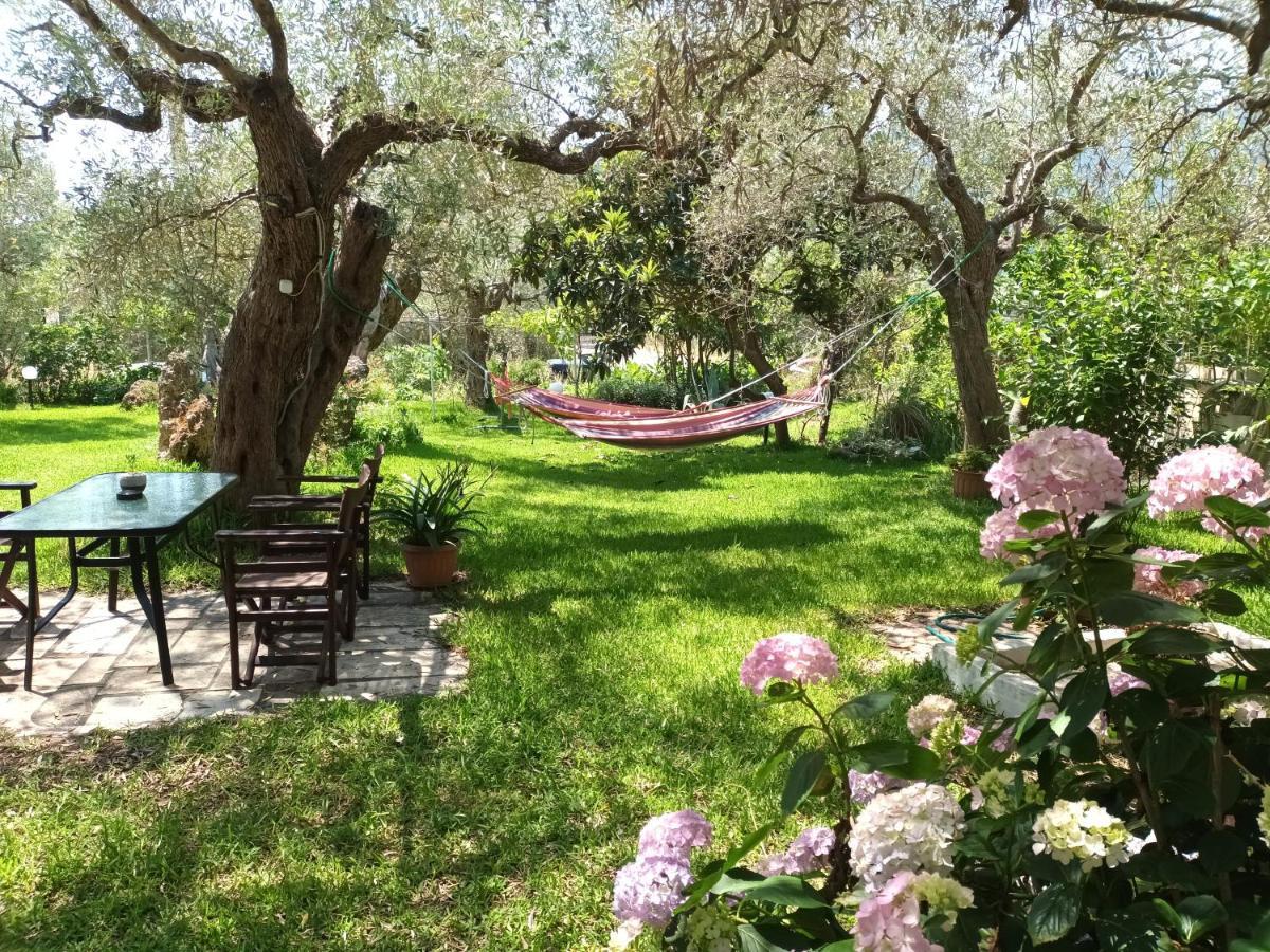 Olive Garden Villas Chrisi Ammoudia Rum bild