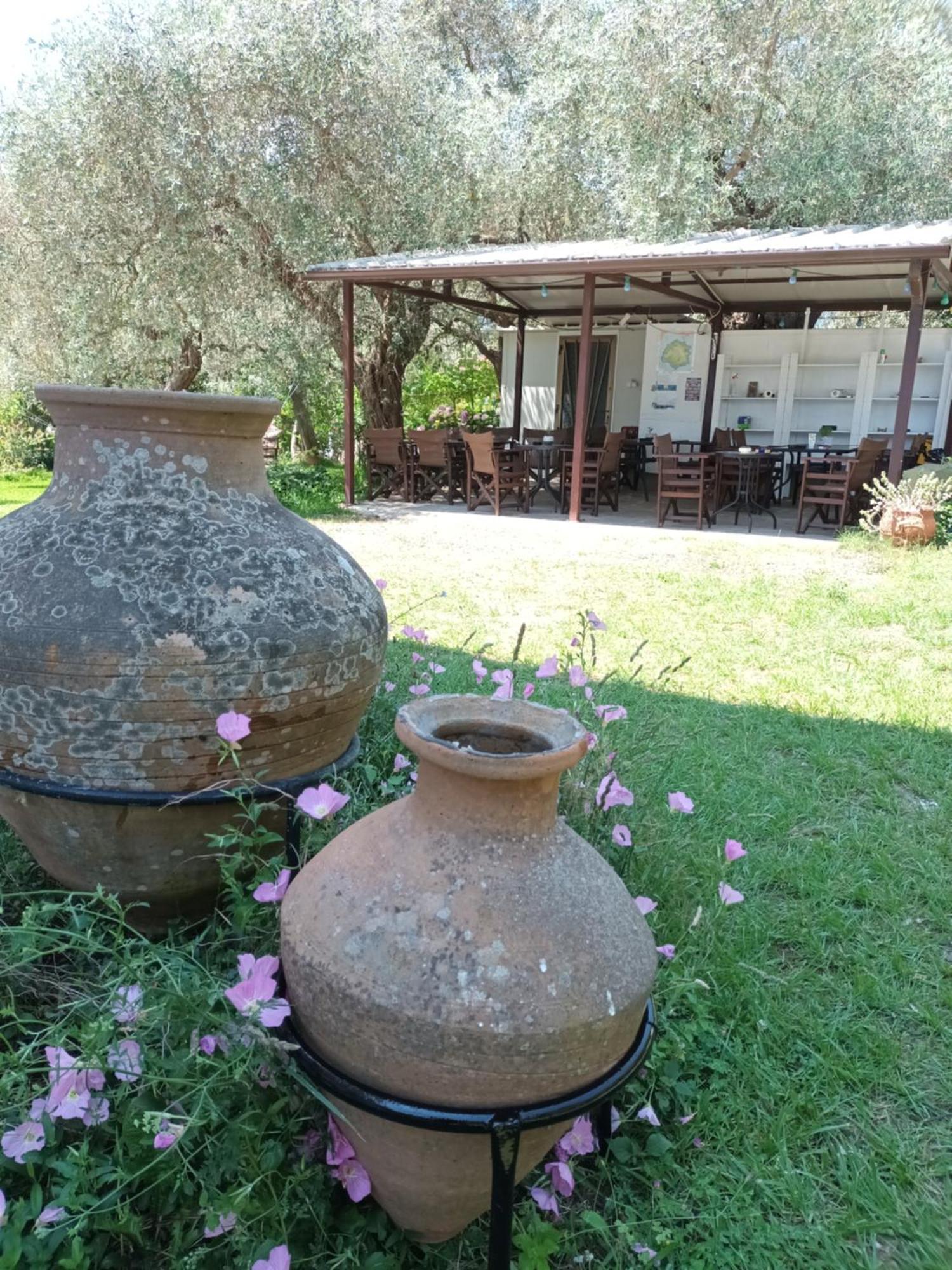 Olive Garden Villas Chrisi Ammoudia Rum bild