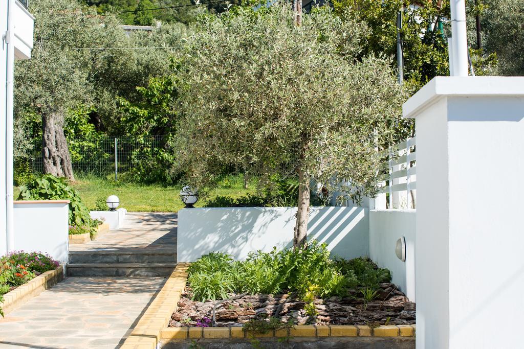 Olive Garden Villas Chrisi Ammoudia Exteriör bild